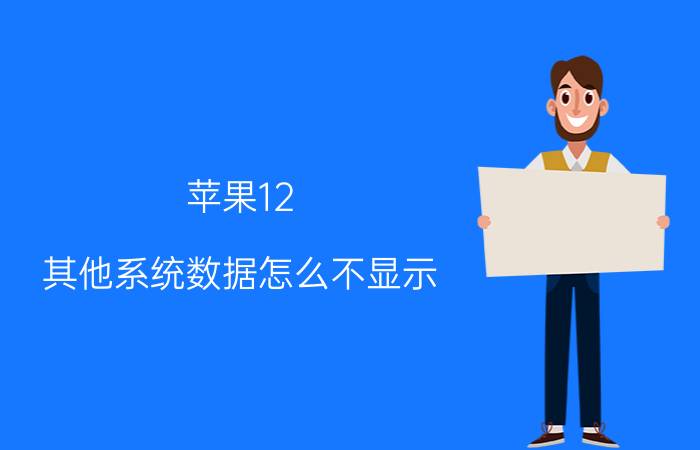 苹果12 其他系统数据怎么不显示 iphone 12换屏幕后没提示？